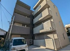 TRICERA Court