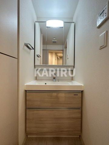 Dimus北浜の洗面所