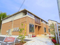 プリムローズの画像