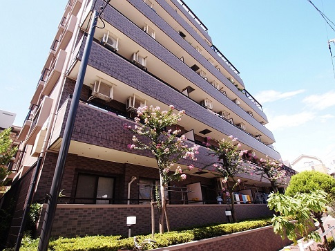 レーベンハイム常盤台プラザの外観|レーベンハイム常盤台プラザ
