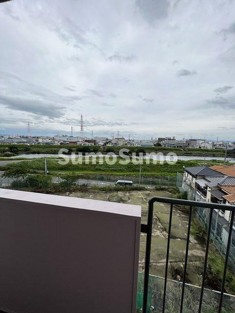 アメリアの展望