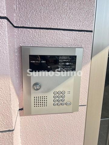 アメリアの外観