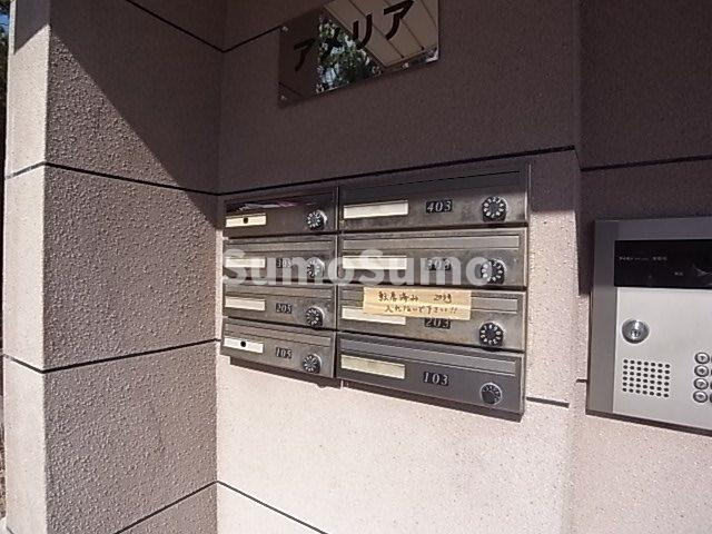 アメリアの外観