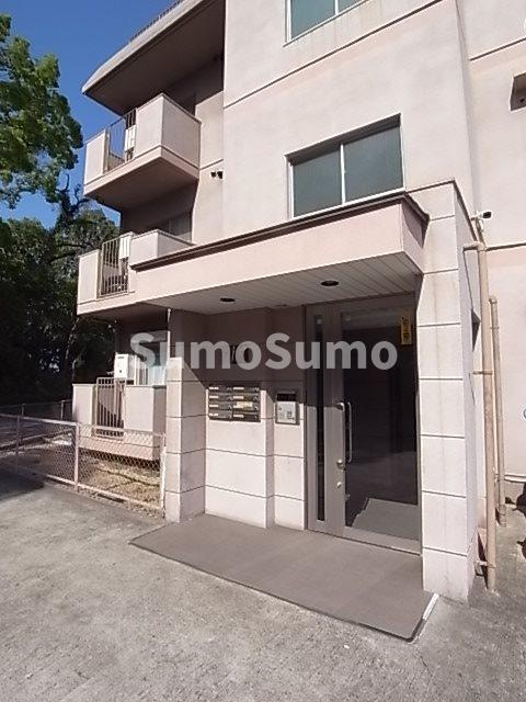 アメリアの外観