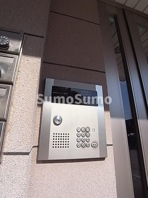 アメリアの外観