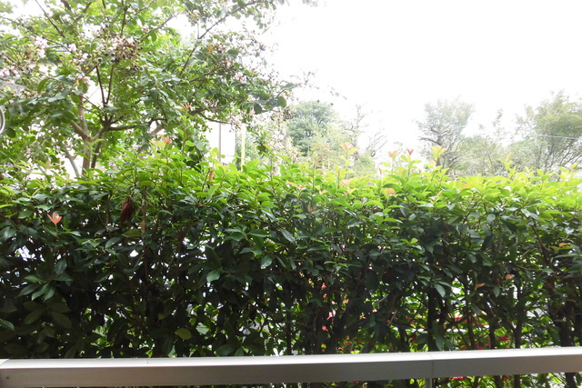 オークヒルＳ棟の展望