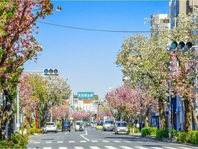 駒沢３丁目　秀邸～利便性と緑豊かな環境～の周辺|桜新町駅周辺3まで949m 