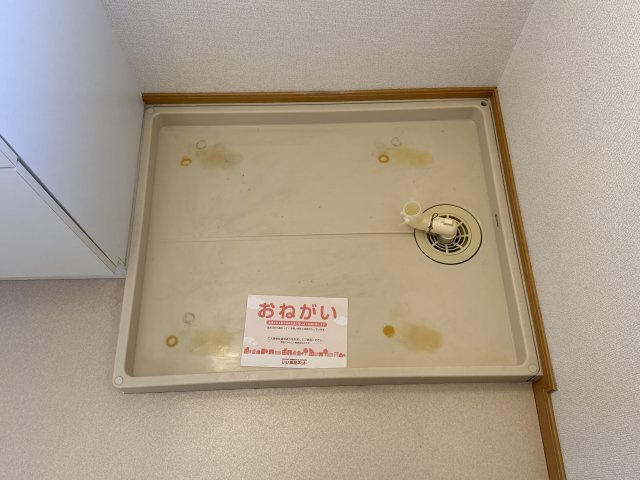 パレ・エクセランのその他