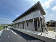 Belle ville杉の画像