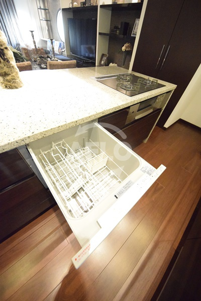 セイワパレス玉造のその他|セイワパレス玉造　食洗器