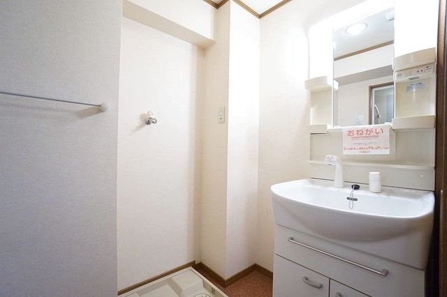 グリーンコートⅢ番館の洗面所