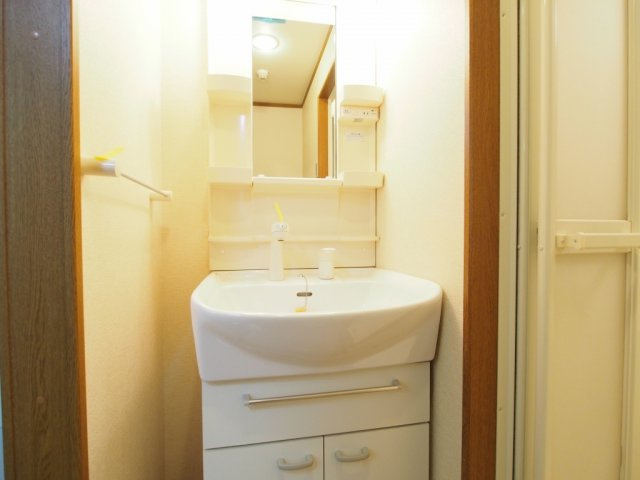 グリーンコートⅢ番館の洗面所