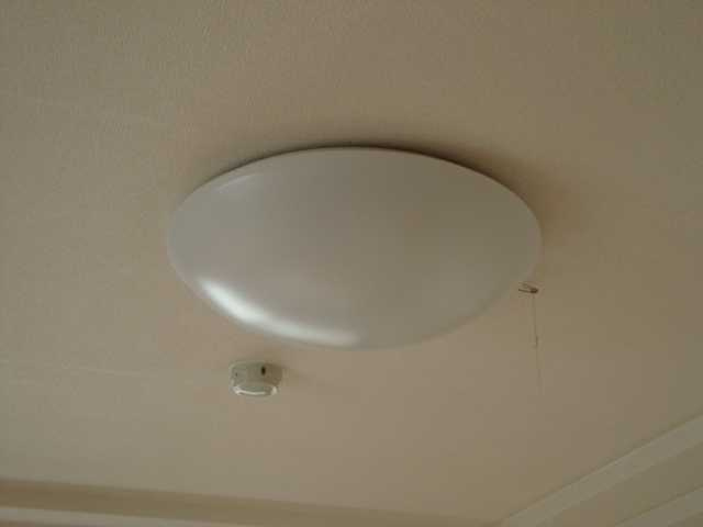 ポンテ　アルトの設備|照明
高崎、前橋のお部屋探しはエンドスケープまで！お客様の理想お聞かせ下さい♪