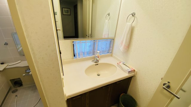 浅間ハイランドパーク プルミエールC棟1階 2LDK サウナ付きの洗面所