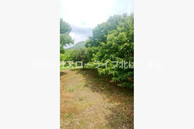 【その他】 | 丹波市山南町谷川