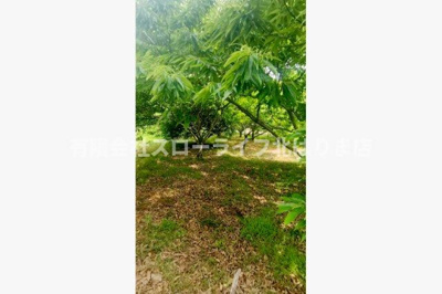 【その他】 | 丹波市山南町谷川