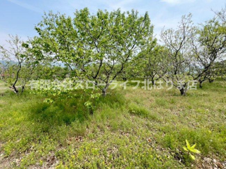 【その他】 | 丹波市山南町谷川