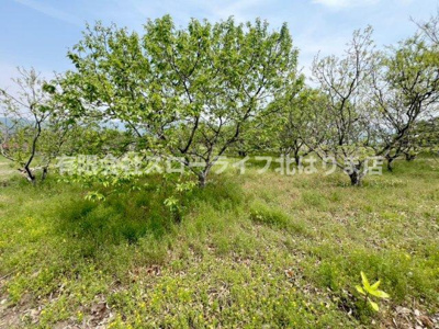 【その他】 | 丹波市山南町谷川