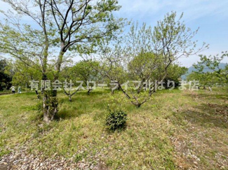 【その他】 | 丹波市山南町谷川