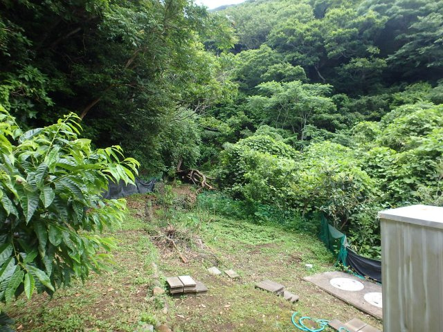 M0247H　入間中古別荘の庭