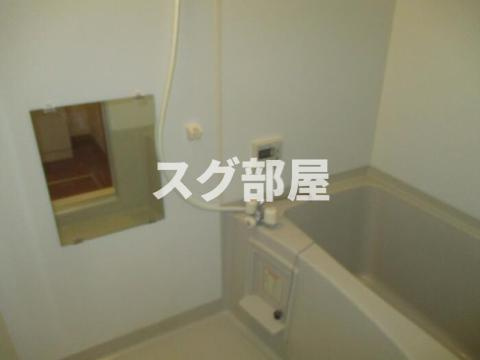 テンゲルハイツのその他