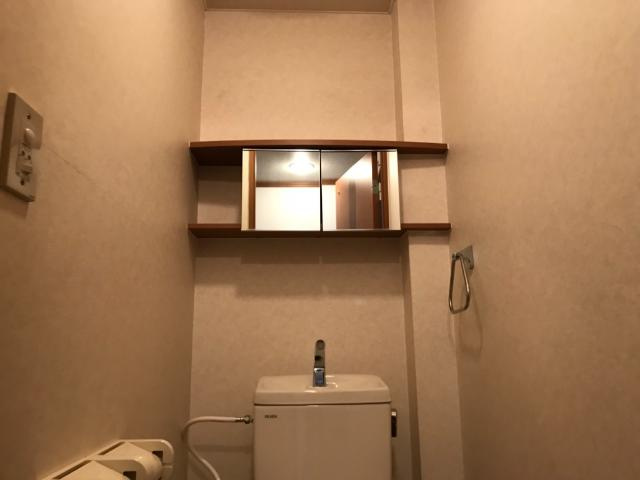 アベニール細江のトイレ|色々しまえるトイレ棚