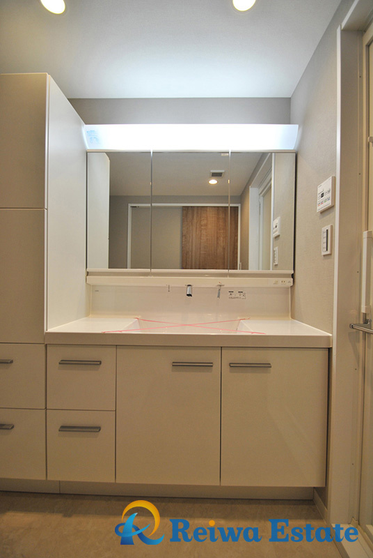 サーパス茅ヶ崎駅前の独立洗面台