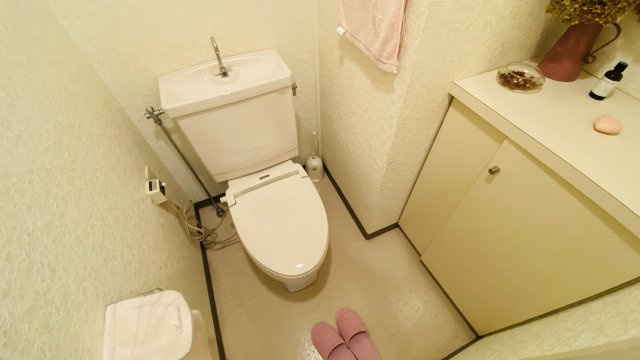 浅間ハイランドパーク プルミエールA棟1階 1LDKのトイレ