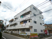 パレス・コヨーの画像