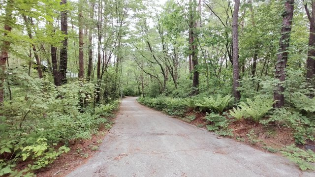 浅間ハイランドパーク 角地でゲートからも近い土地の前面道路含む現地写真