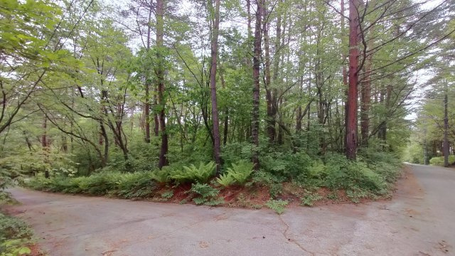 浅間ハイランドパーク 角地でゲートからも近い土地の前面道路含む現地写真