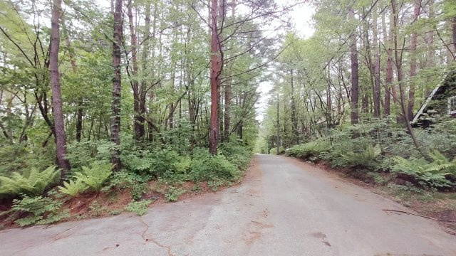 浅間ハイランドパーク 角地でゲートからも近い土地の前面道路含む現地写真