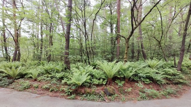浅間ハイランドパーク1,000㎡以上の広々とした土地の前面道路含む現地写真