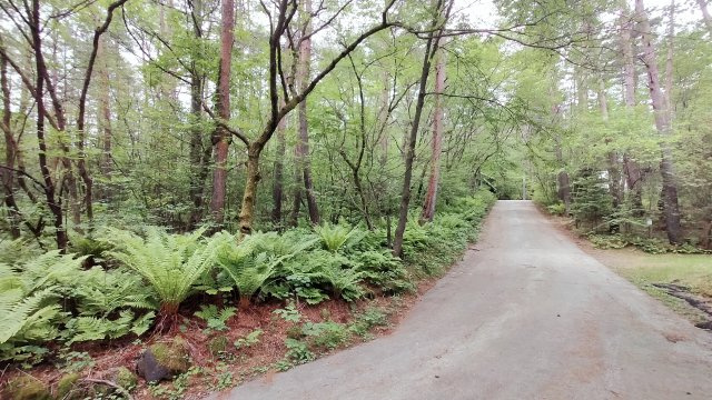 浅間ハイランドパーク1,000㎡以上の広々とした土地の前面道路含む現地写真