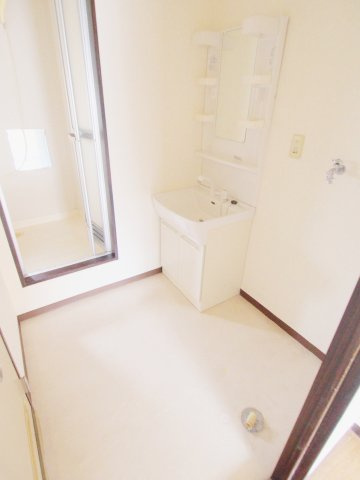 ドミール東青崎の洗面所