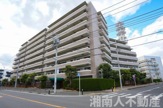 レックス藤沢