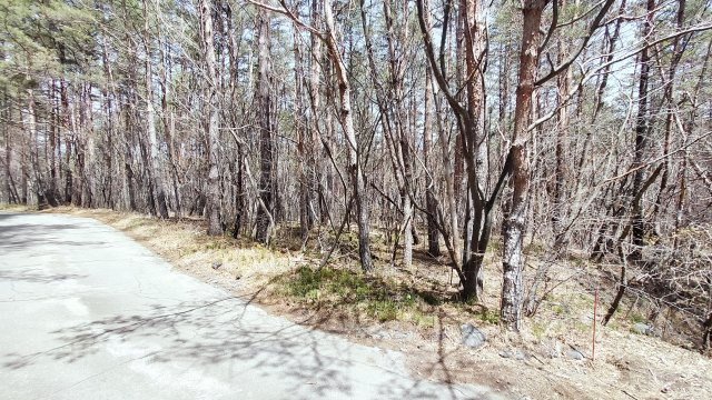 浅間ハイランドパーク浅間山側で沢に面した1,000㎡以上の広々土地