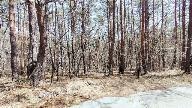 浅間ハイランドパーク浅間山側で沢に面した1,000㎡以上の広々土地の周辺
