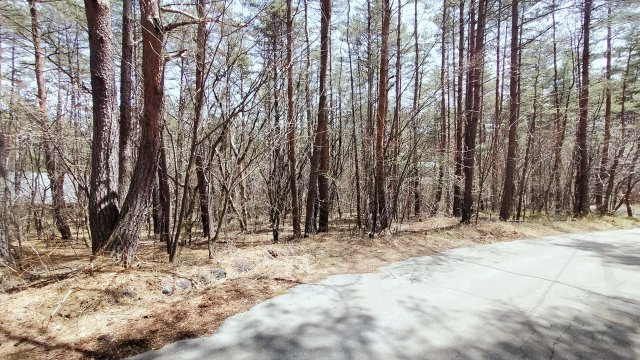 浅間ハイランドパーク浅間山側で沢に面した1,000㎡以上の広々土地の周辺