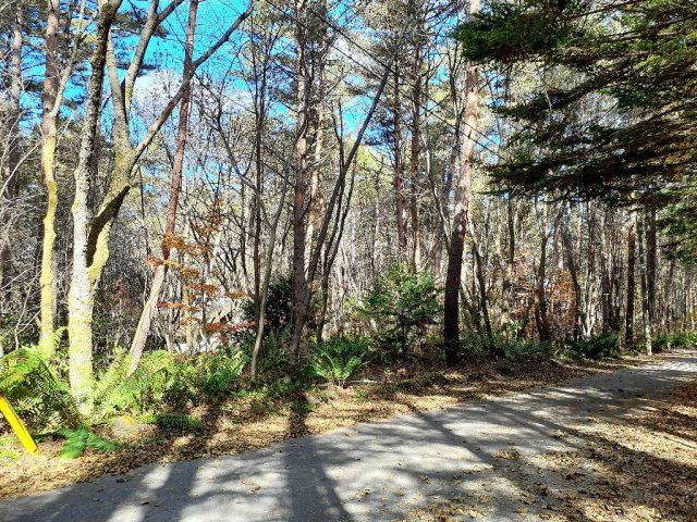 浅間ハイランドパークセキュリティーゲート近くの土地