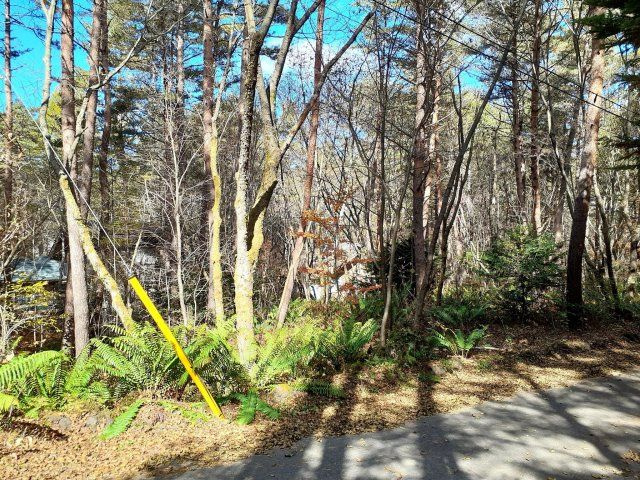 浅間ハイランドパークセキュリティーゲート近くの土地の前面道路含む現地写真