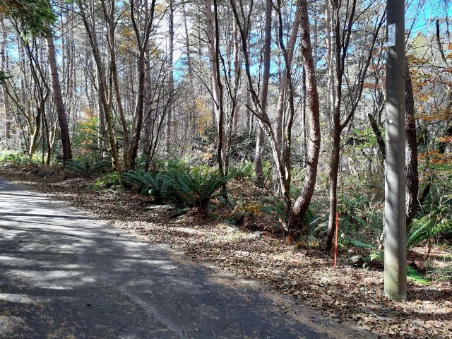 浅間ハイランドパークセキュリティーゲート近くの土地の前面道路含む現地写真