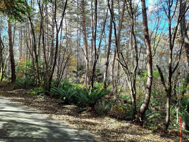 浅間ハイランドパークセキュリティーゲート近くの土地の前面道路含む現地写真