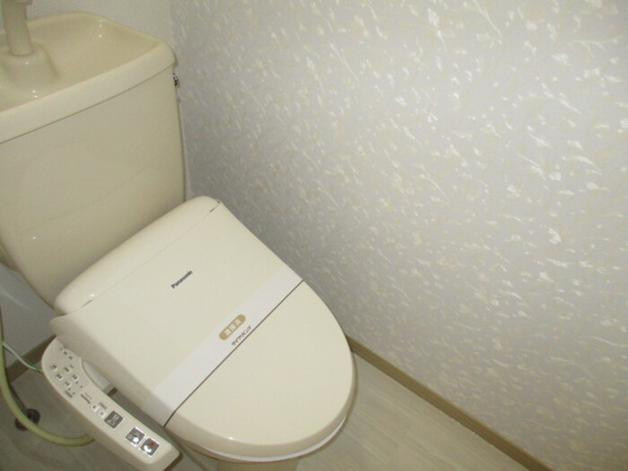 メゾン・ド・ラヴィ菰口Ⅱのトイレ