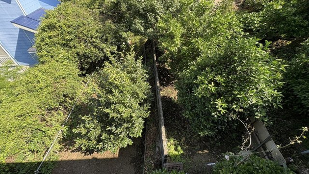 【庭】 | 丸善ランド　戸建