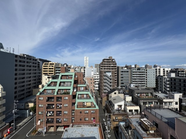 ランドステージ錦糸町Ⅱの展望