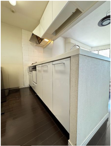 ランドステージ錦糸町Ⅱのキッチン