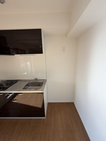 ステイビルⅡのその他