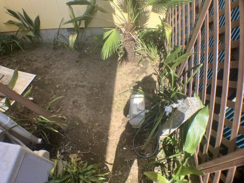 風見鶏戸建ての庭