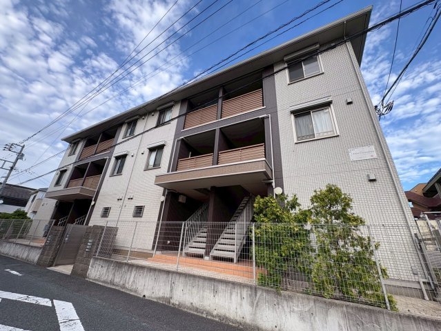 アルブル コインシデンス